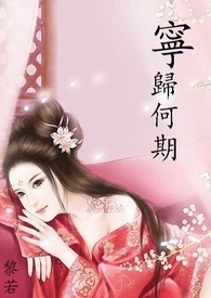 宁归来官网下载